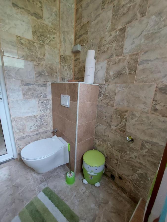 Apartament Vila Alexandria Markovici Zewnętrze zdjęcie