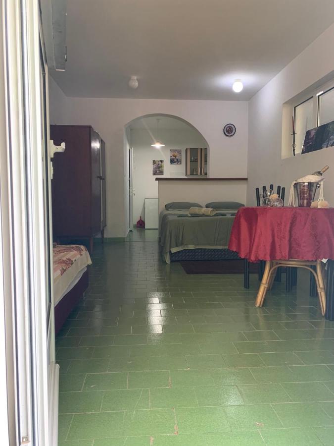 Apartament Vila Alexandria Markovici Zewnętrze zdjęcie