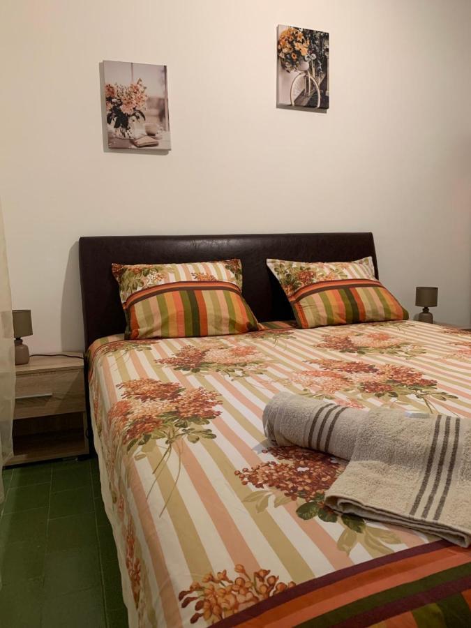 Apartament Vila Alexandria Markovici Zewnętrze zdjęcie